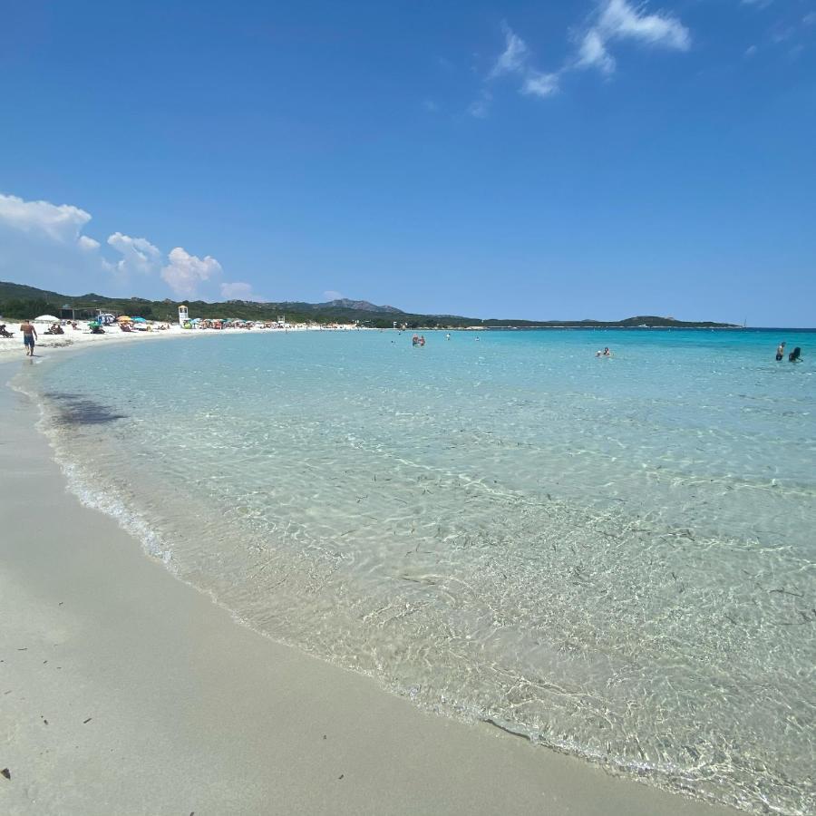 La Casa Blu Villa San Pantaleo Eksteriør billede