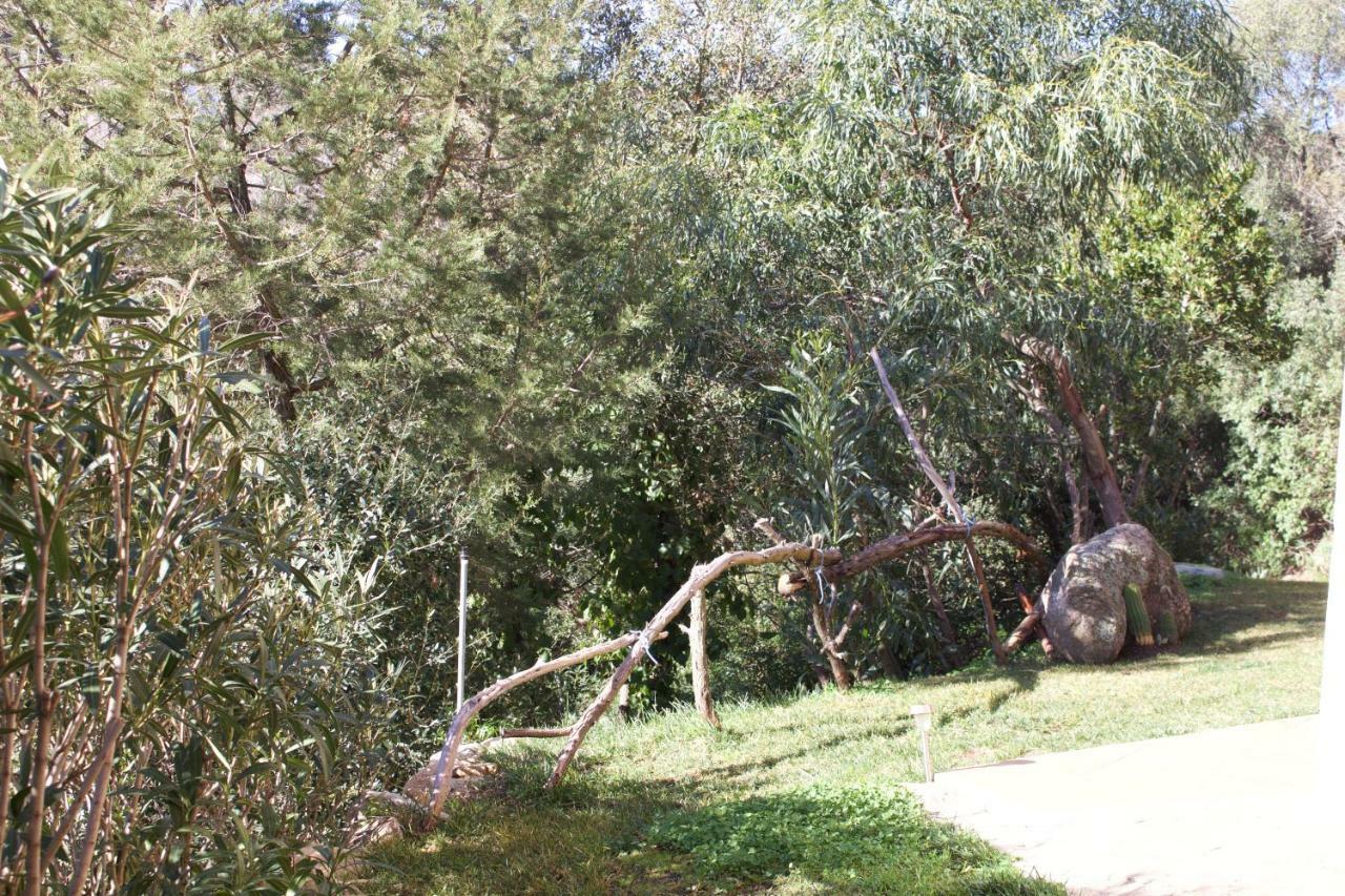 La Casa Blu Villa San Pantaleo Eksteriør billede