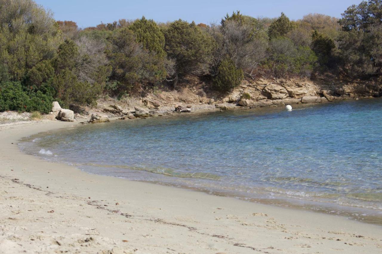 La Casa Blu Villa San Pantaleo Eksteriør billede